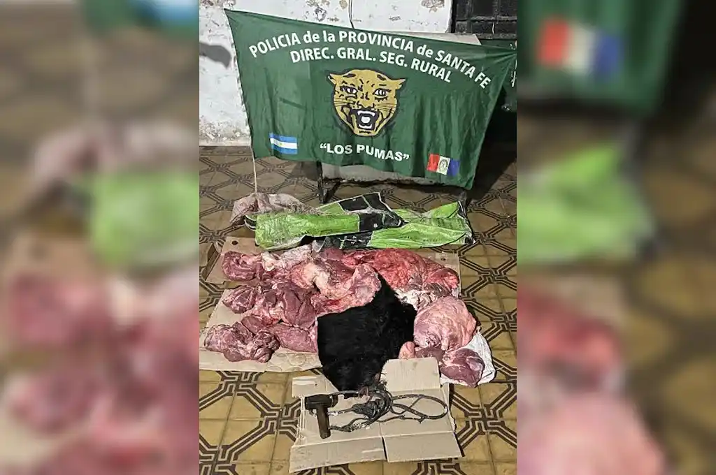 Hallaron 140 kilos de carne de faena ilegal cerca de un cementerio