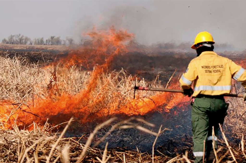 Santa Fe se presentará ante la Justicia por los incendios en el Delta