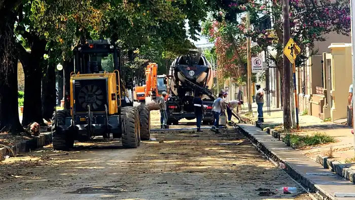 Avanzaron con una cautelar para frenar la obra de pavimentación sobre adoquines históricos
