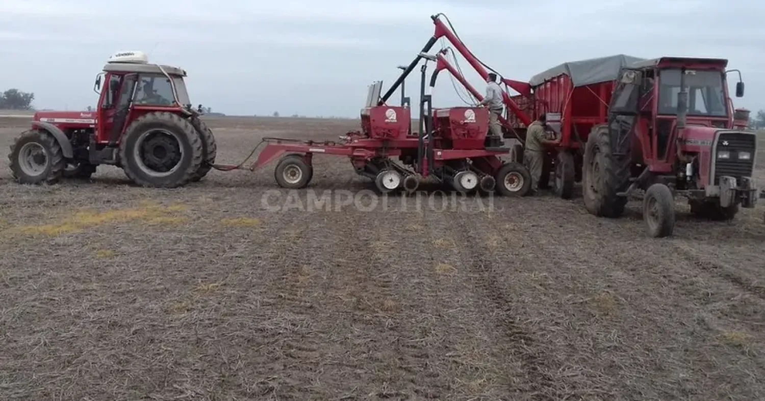 En la zona núcleo falta humedad y habrá que “tener fe” para sembrar trigo