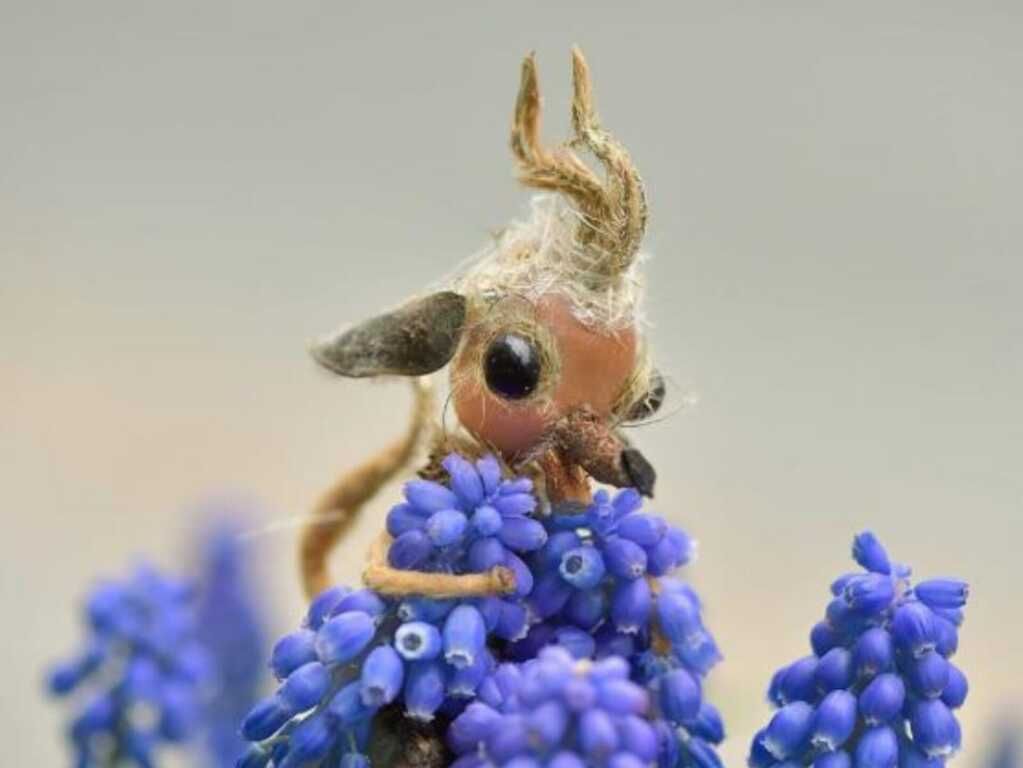 Nueva edición de la Muestra de  Arte+Sustentable 2025