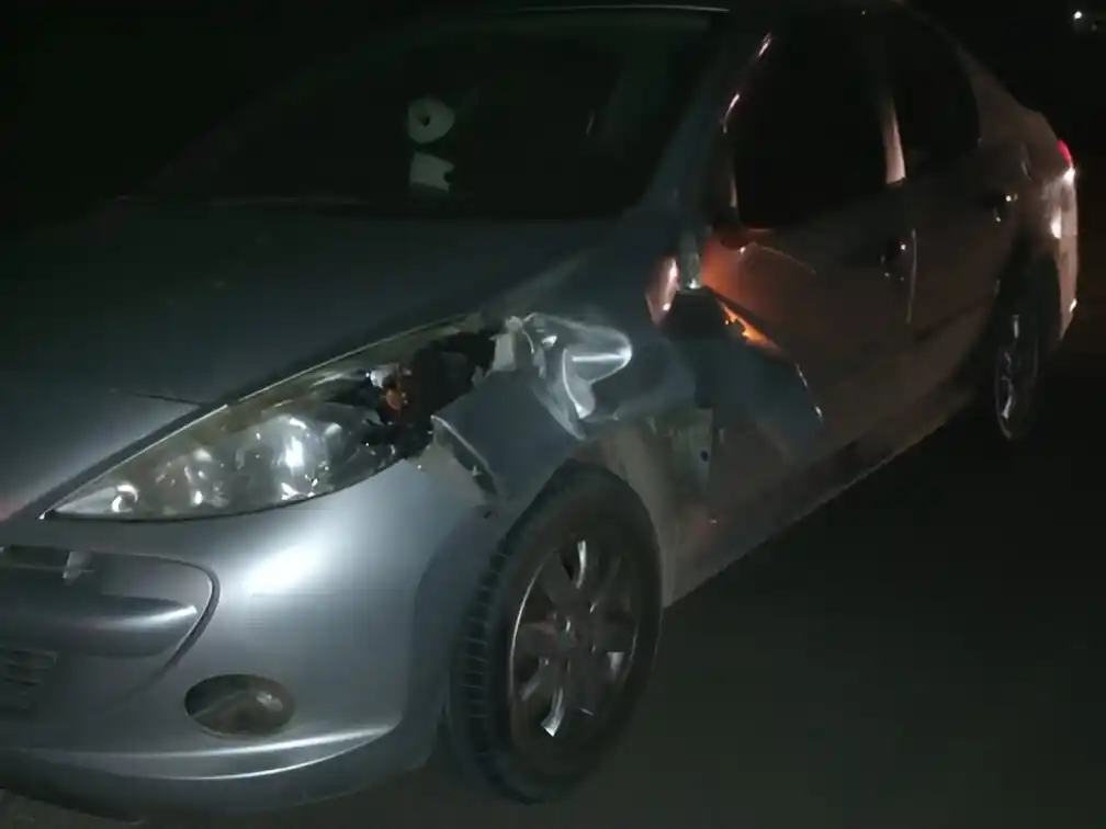 El Peugeot 207 era conducido por un vecino de José C. Paz
