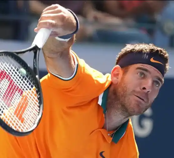 Del Potro está en semifinales