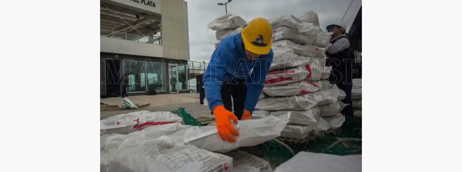 "La logística del Puerto es una ventaja que no estamos aprovechando"