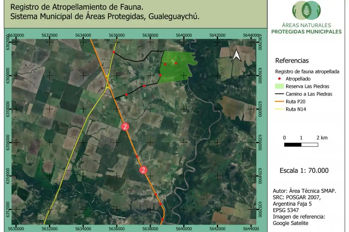 registro atropellamiento
