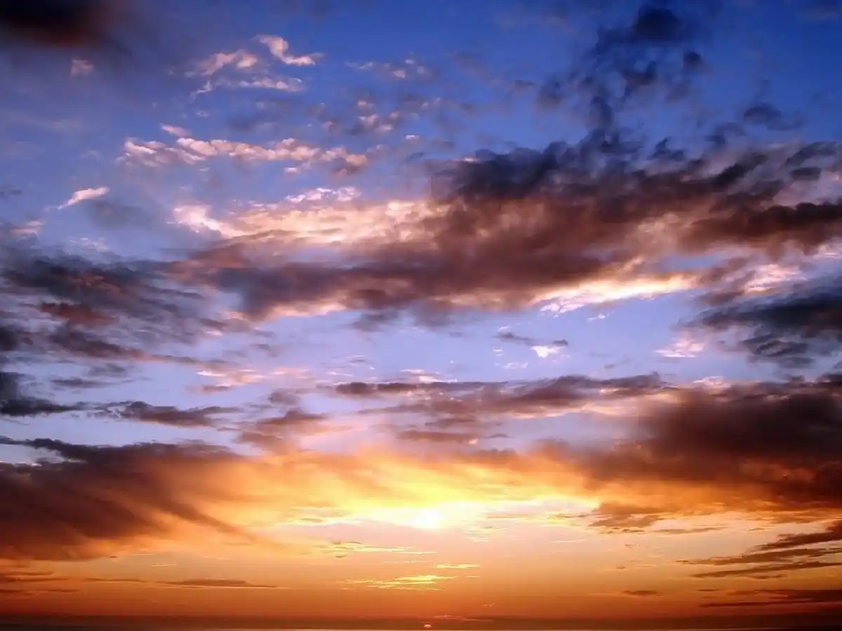 ¿Cómo estará el tiempo en la semana?