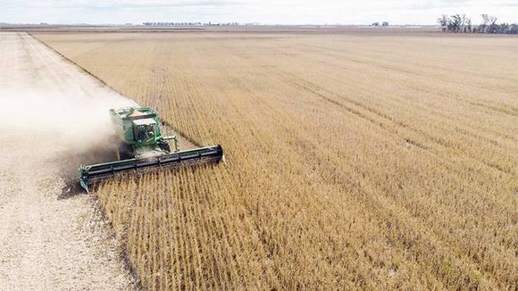 El Ministro de Agricultura dijo que no subirán las retenciones agropecuarias