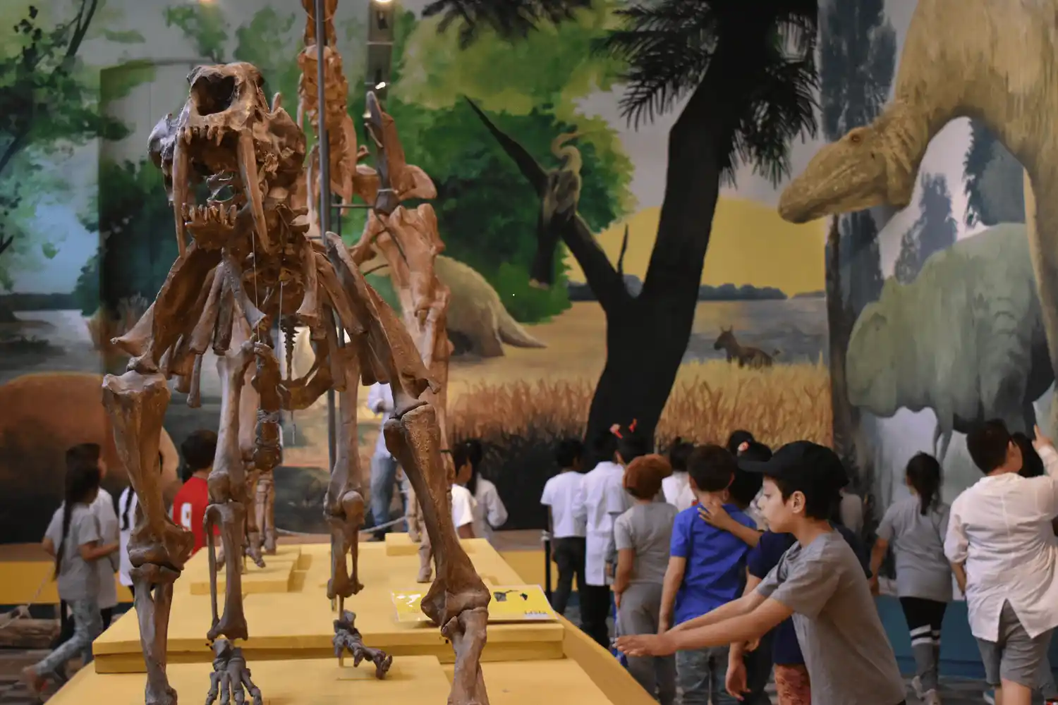 Actividades de Verano en el Museo Antonio Serrano