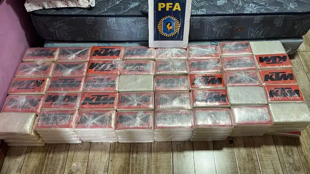 Parte de la cocaína incautada a la banda de Gonzueta