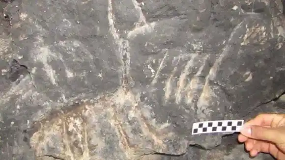 Hallan dos cuevas naturales con presencia de arte rupestre de 500 años de antigüedad