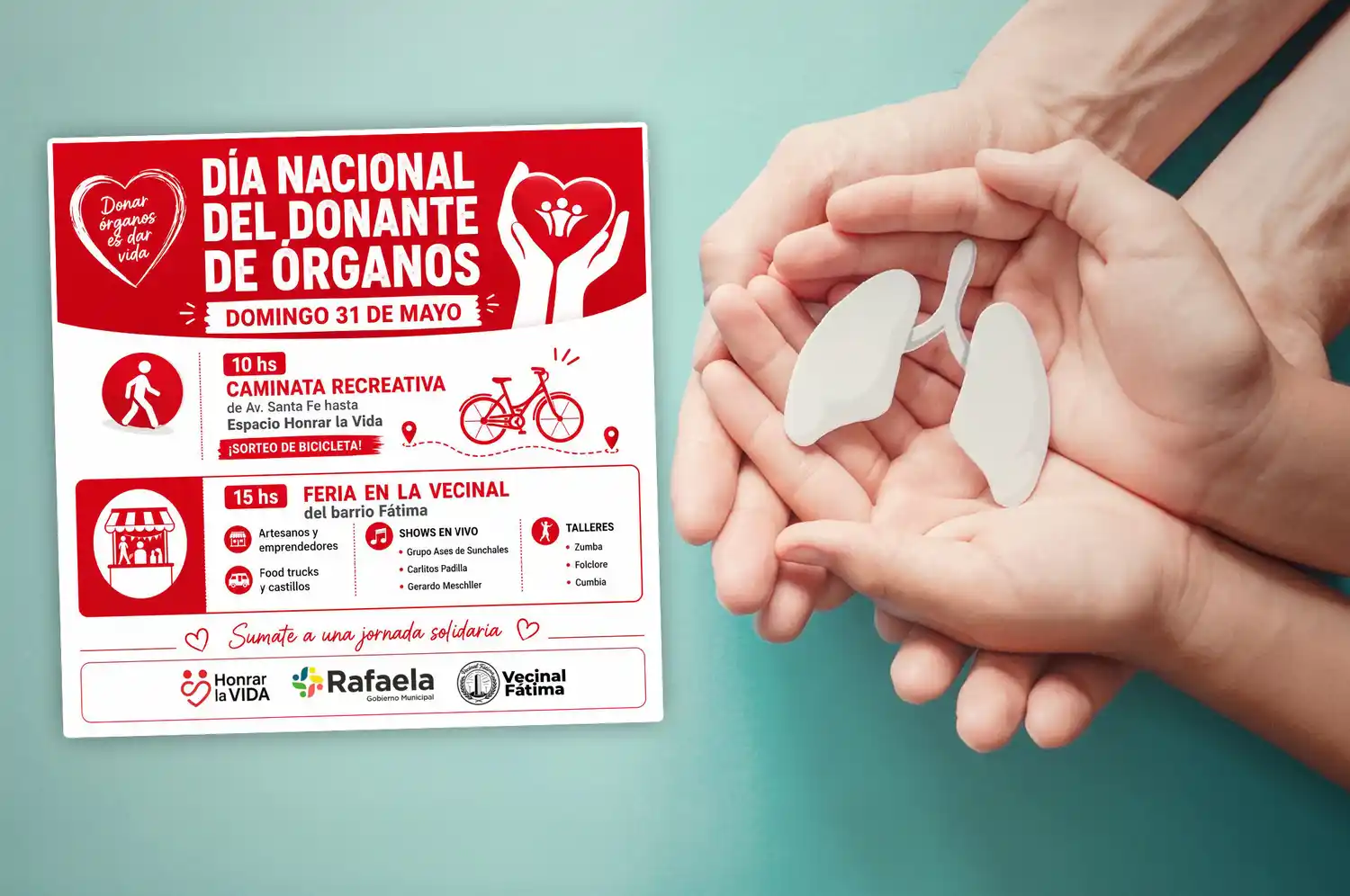 Honrar la Vida prepara una jornada solidaria por el Día Nacional del Donante de Órganos