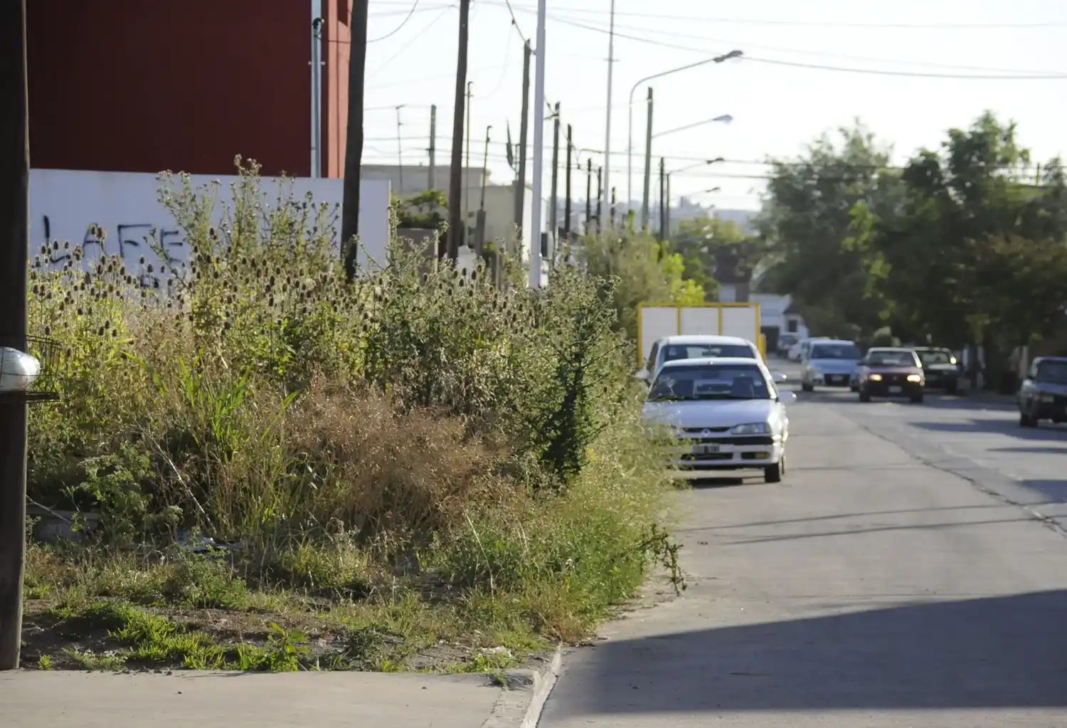 Proponen un proyecto de ordenanza que fija la ejecución de tareas de limpieza de terrenos baldíos