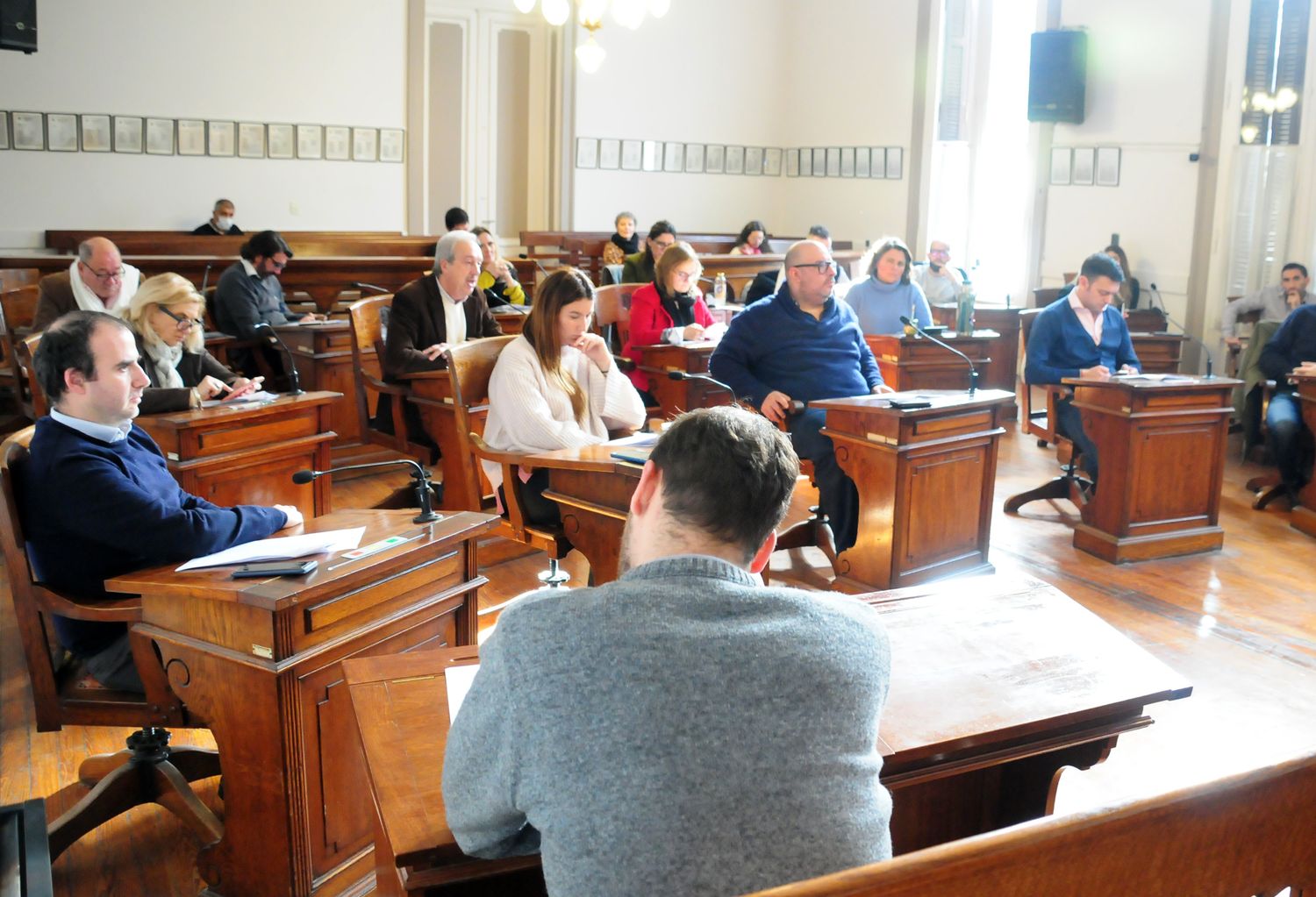 Crearon un Registro de Podadores para la consulta de los vecinos ante tareas en el arbolado público