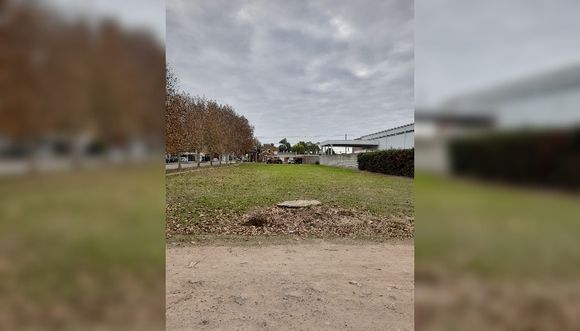 “Estaría bueno tener una plaza”
