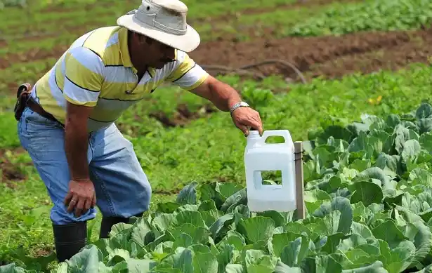 “Sin fitosanitarios la producción caería un 40%”