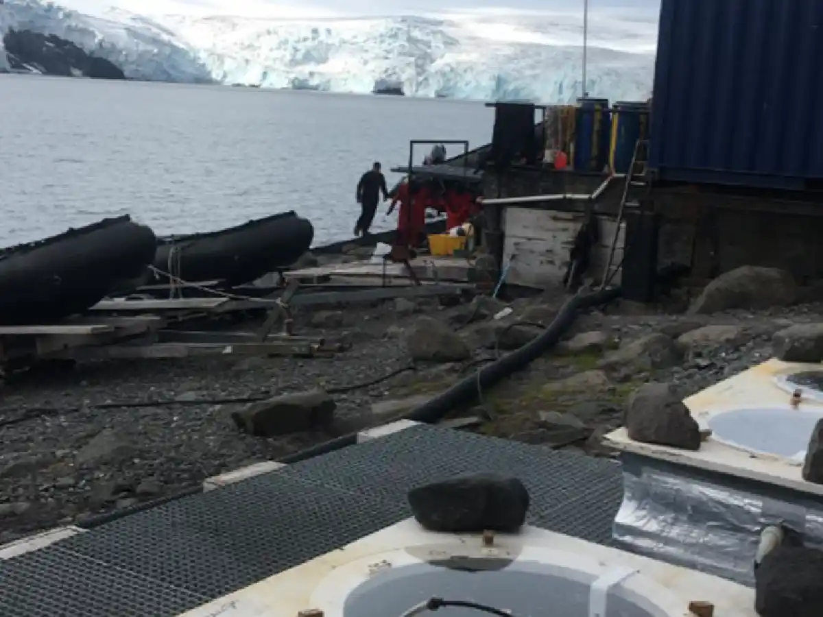 Especialistas revelan efectos en el fitoplancton del aumento de la temperatura en la Antártida