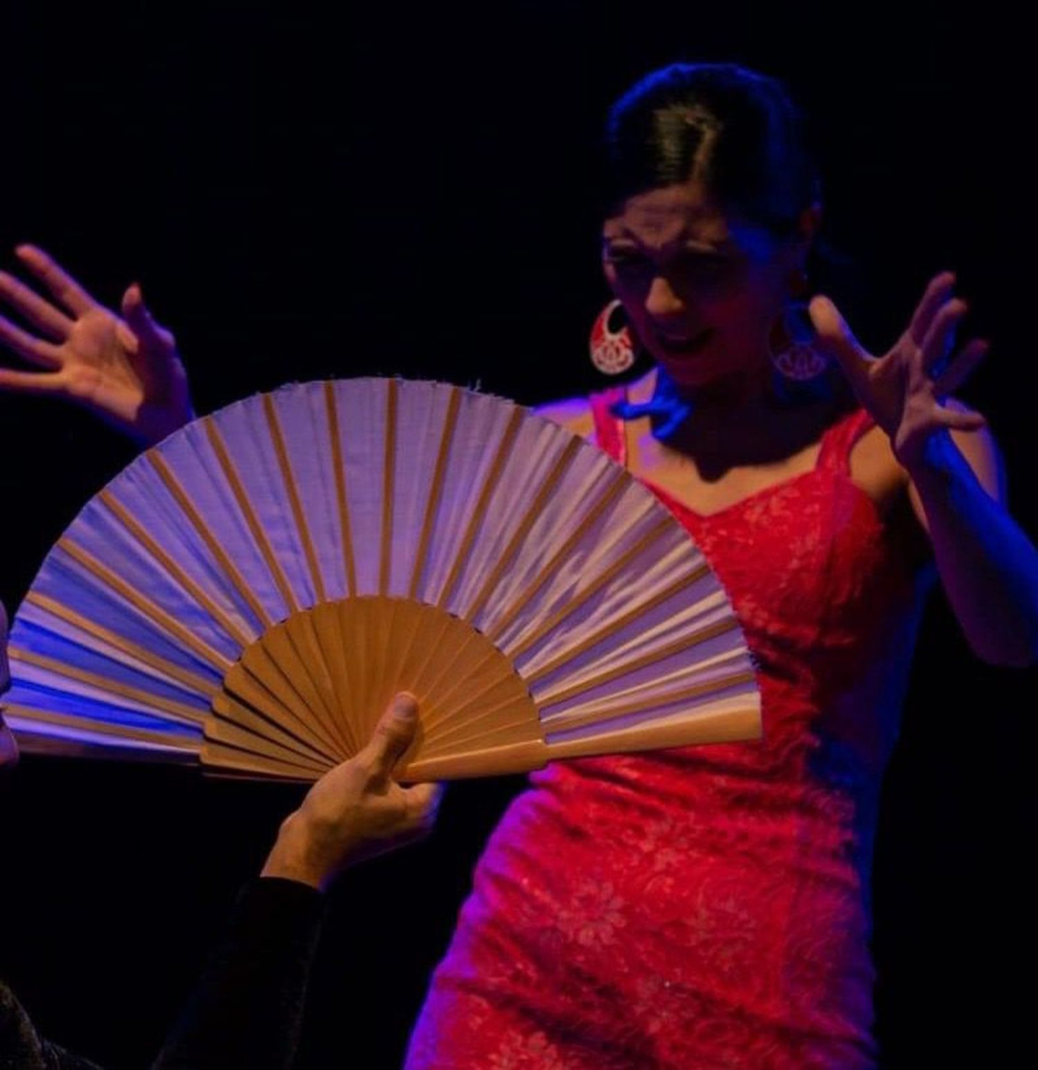 Sonia Quiroga ofrece un Seminario de Flamenco.