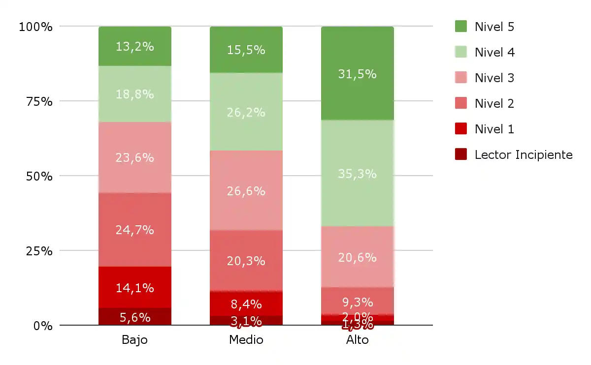 Los cinco datos clave sobre alfabetización que marcaron 2025 en Argentina