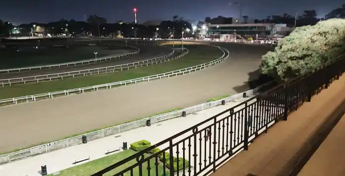 Miércoles 12: Actividad Hipódromo de San Isidro