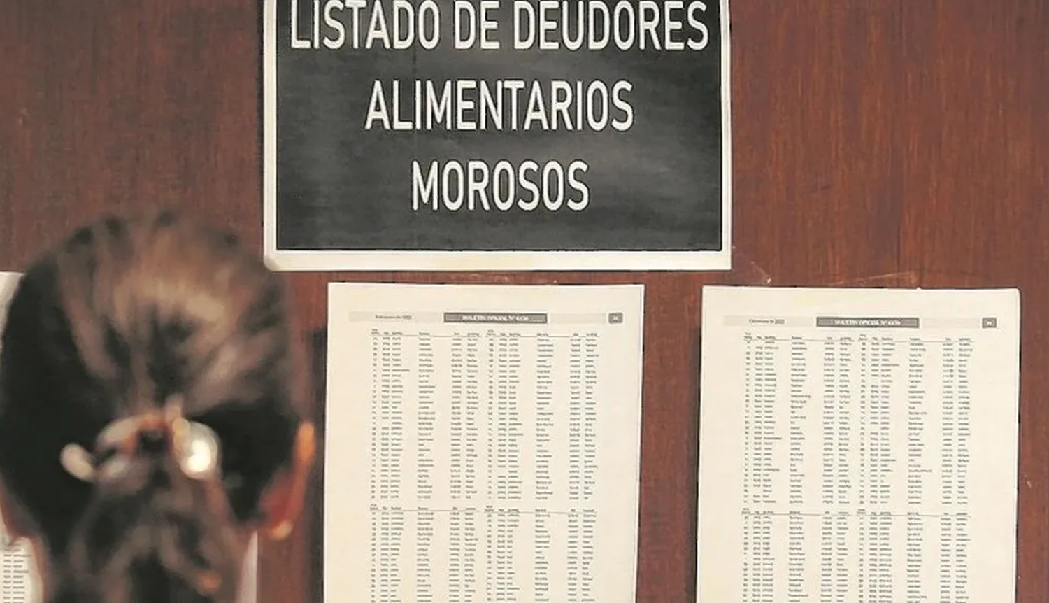 Registro de deudores alimentarios
