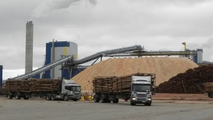 Ambientalistas en pie de guerra por la derogación de la Ley de la Madera