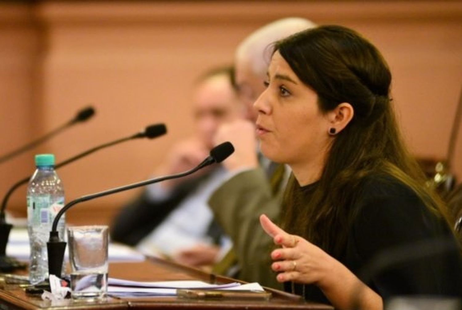 El PRO no quiere más pensiones vitalicias para gobernador y vice