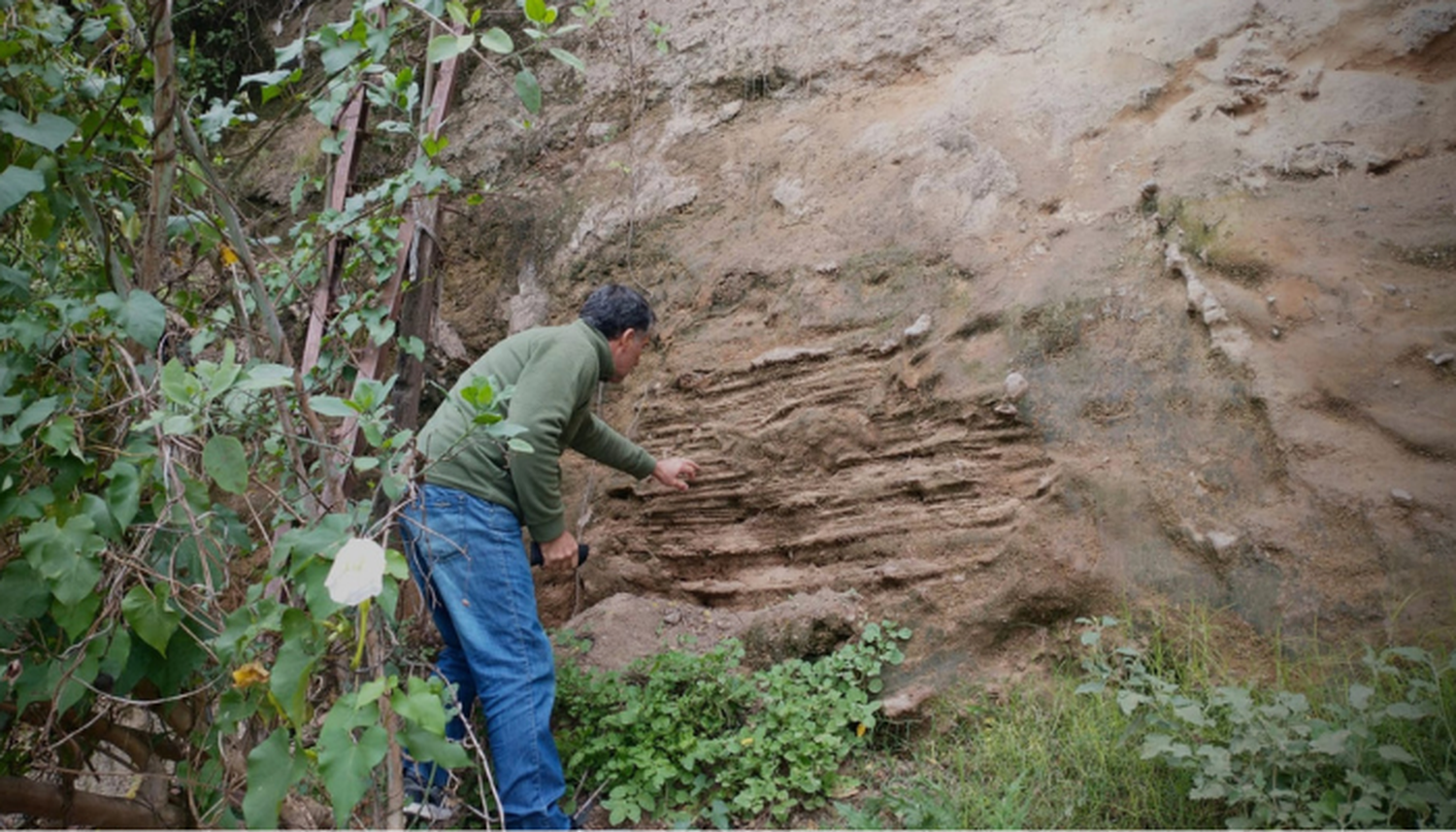 Museo Paleontológico: hallan "madriguera" de un mamífero prehistórico