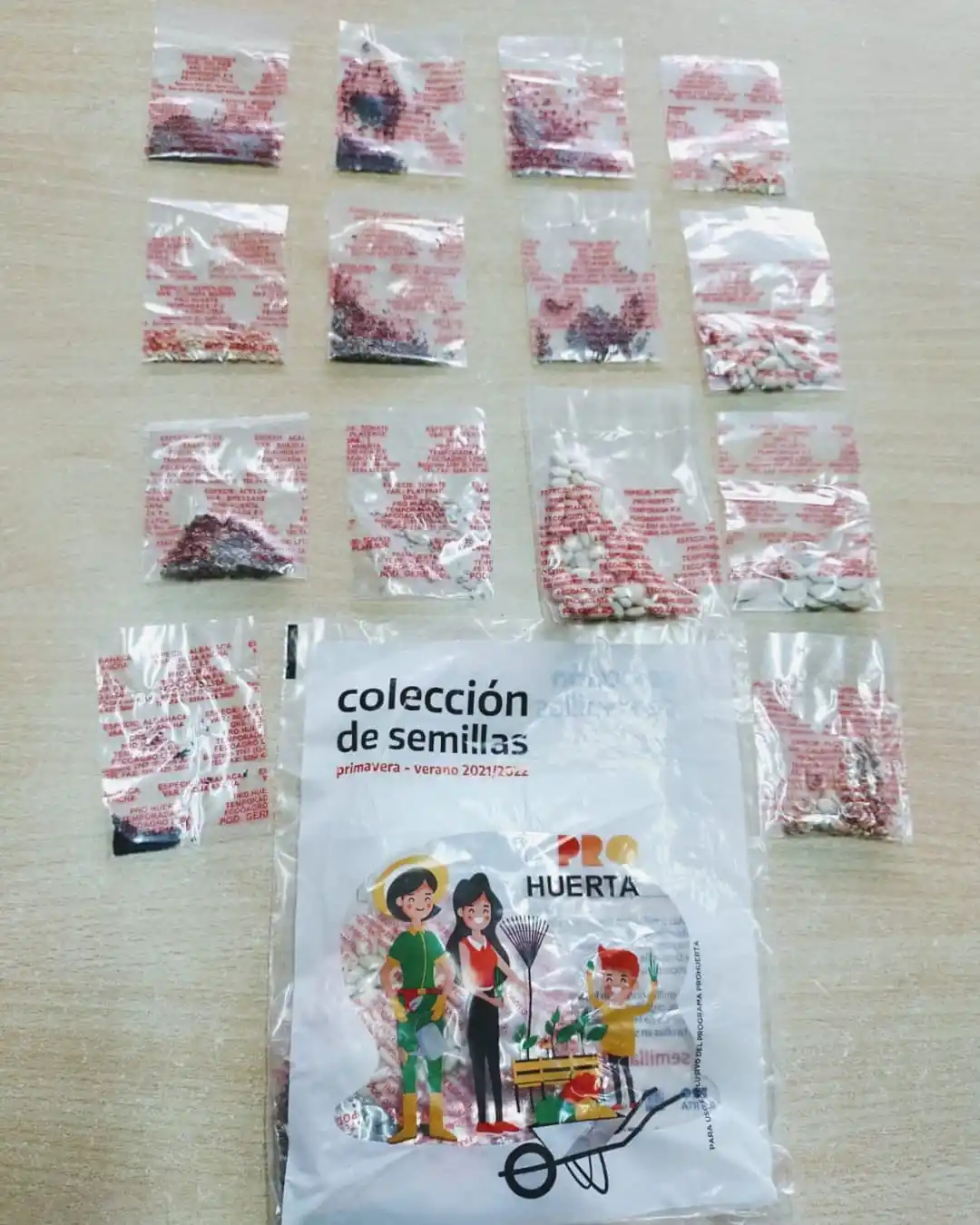 Entregan kits Pro-Huerta en la subsecretaría de Producción de la comuna de Pila