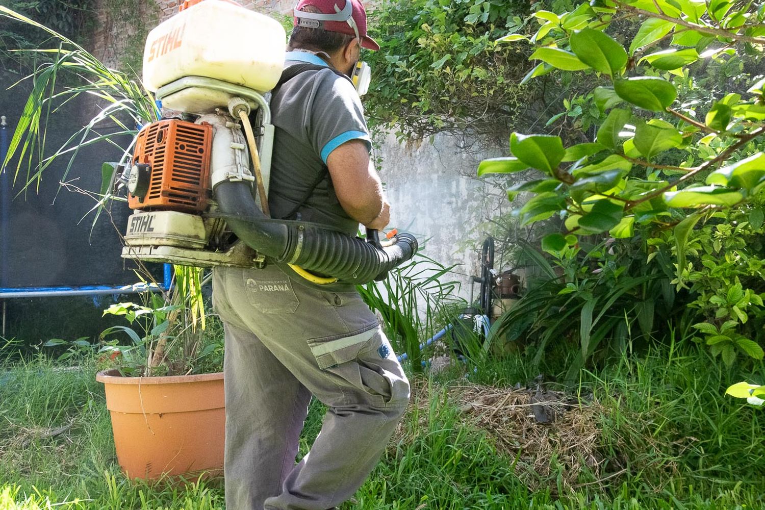 Realizaron un bloqueo por caso autóctono de dengue en pleno centro