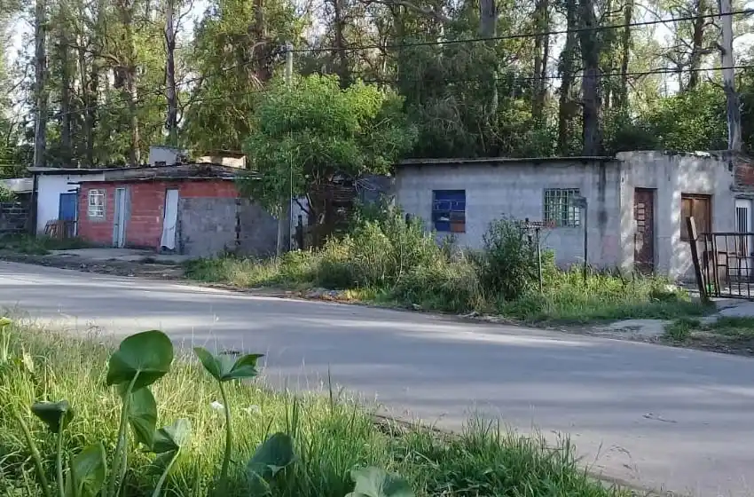 Tormenta trágica: una joven de 29 años murió tras la caída de árbol sobre una casa