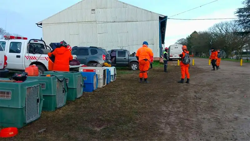 Continúa la búsqueda de Micaela: "Los perros no marcan rastros"