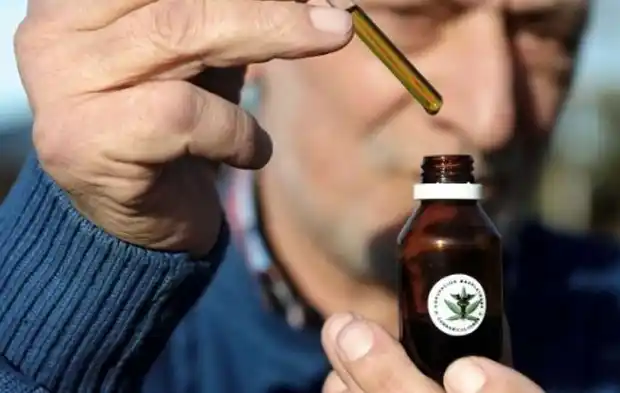 Se promulgó la adhesión provincial a la ley de cannabis