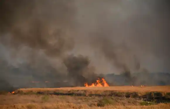 Sobreseyeron a los 42 sospechosos por los incendios en las islas en 2020 por falta de pruebas