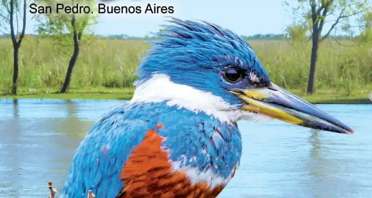 La Guía Club a domicilio
