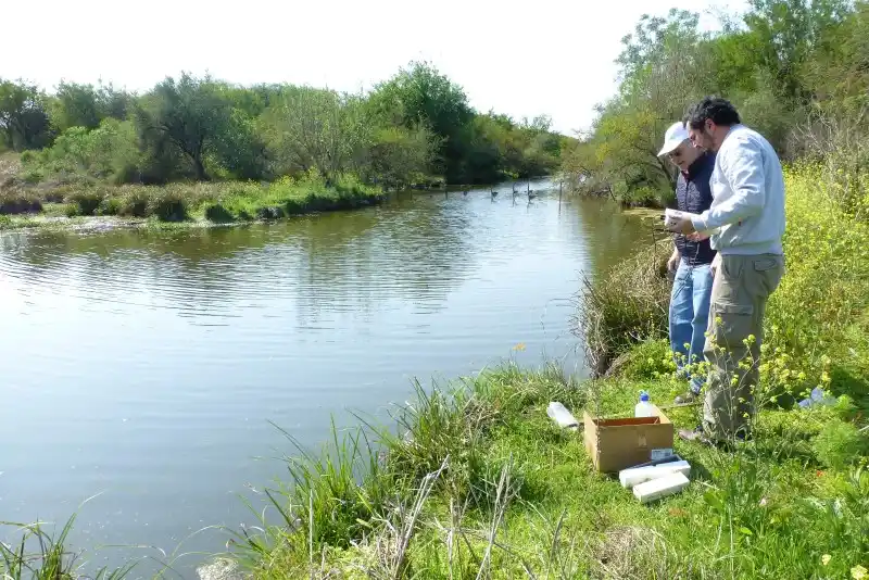 Avances en estudios de remediación de suelos agrícolas de la Argentina