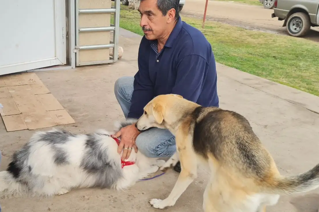 Vacunaron 35 animales contra la rabia