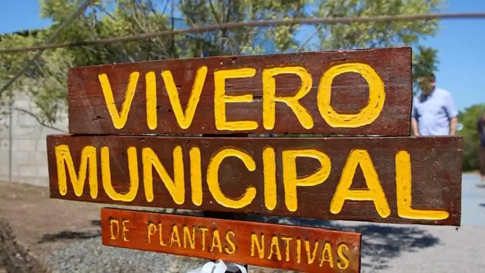 El vivero municipal fue inaugurado en el año 2022.