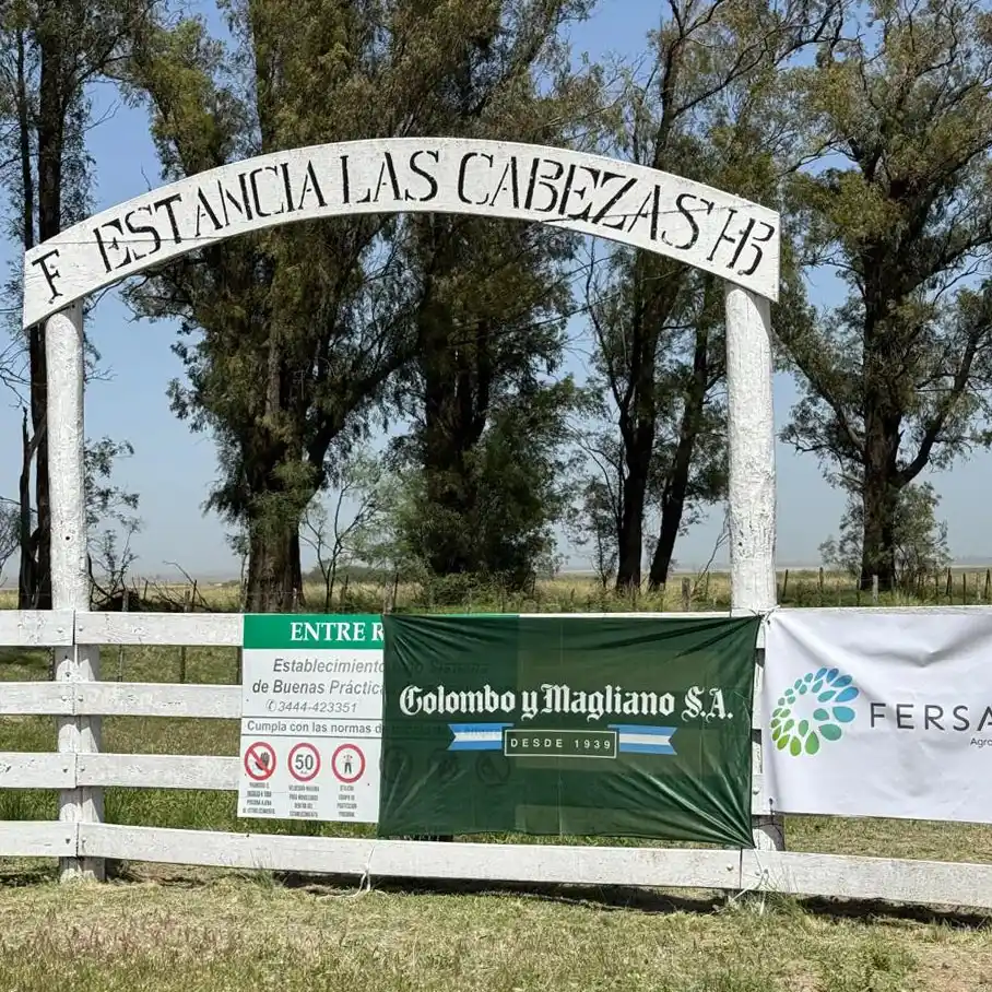 Colombo y Magliano: 86 años de trayectoria y un fuerte crecimiento en el sur entrerriano