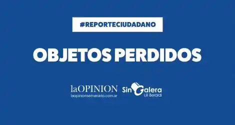 Buscan unos lentes recetados de Silvio
