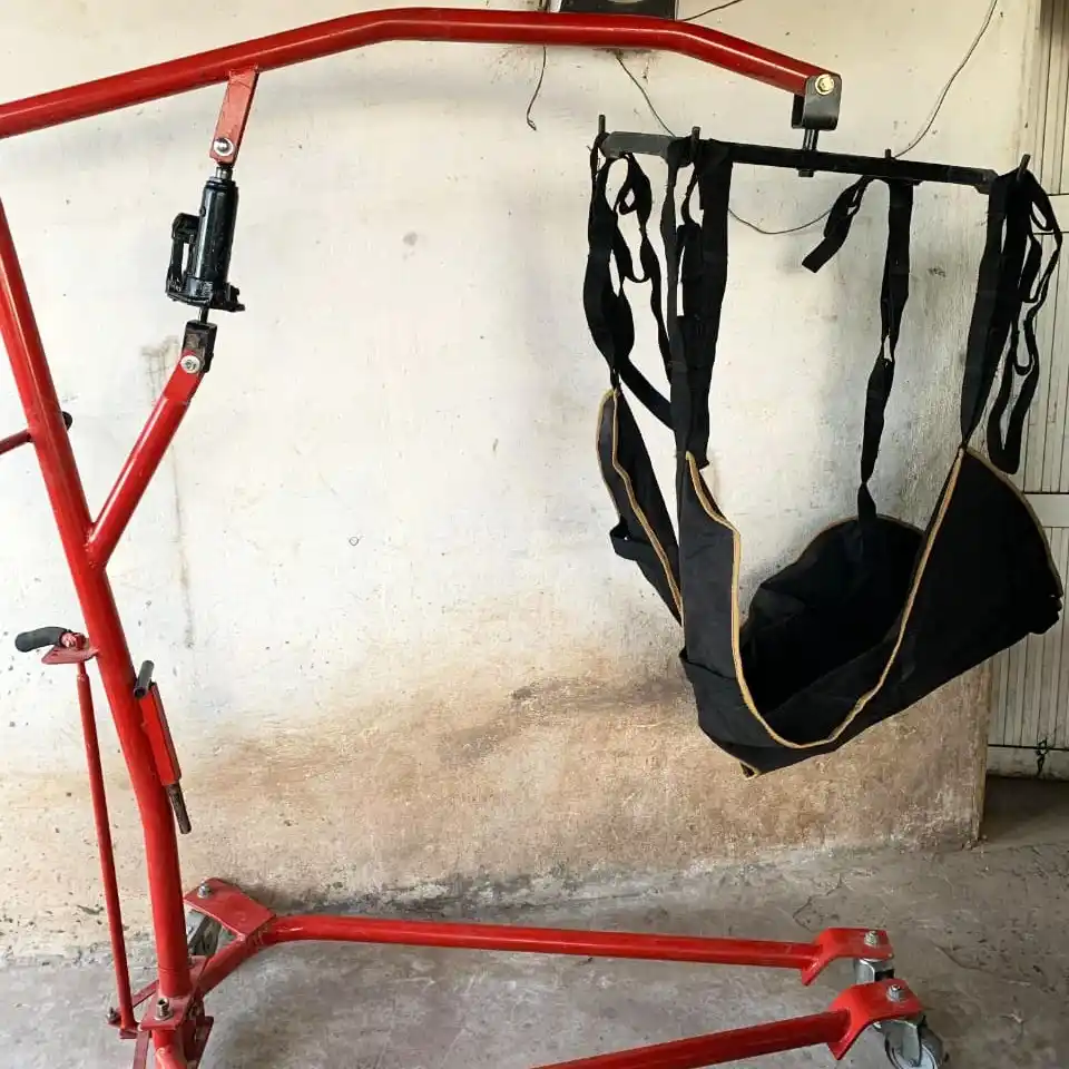 Solidaridad y esperanza: Vanesa Albarenque recibió la grúa levanta personas que necesitaba