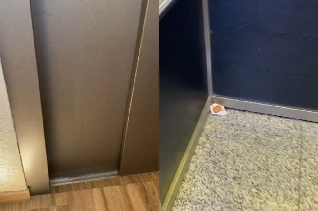 Más de 70 mil personas le dieron "me gusta" a la publicación