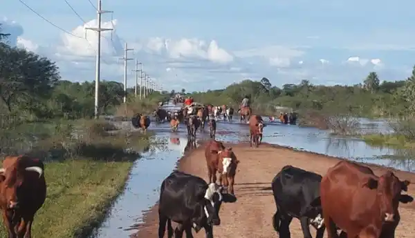 Presentaron un proyecto para crear la Comisión de Emergencia Agropecuario 