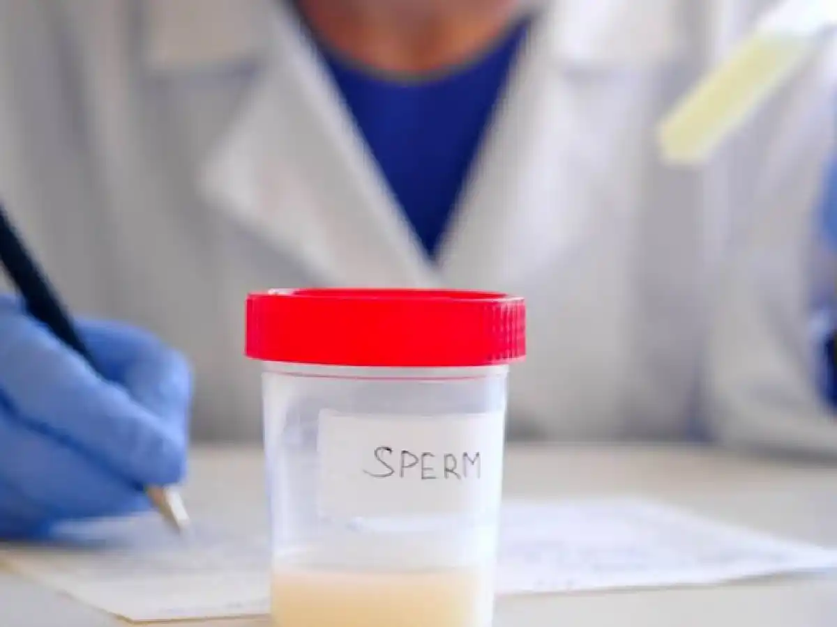 En Francia las personas concebidas mediante donación podrán conocer su origen