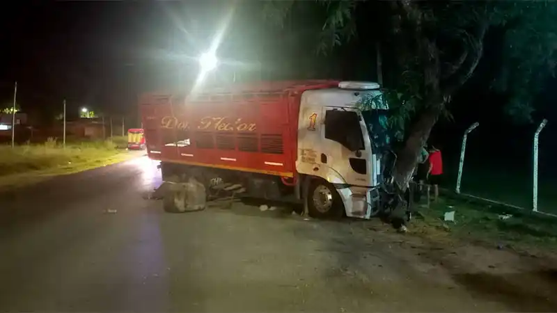 Un joven camionero se durmió al volante y chocó contra un árbol