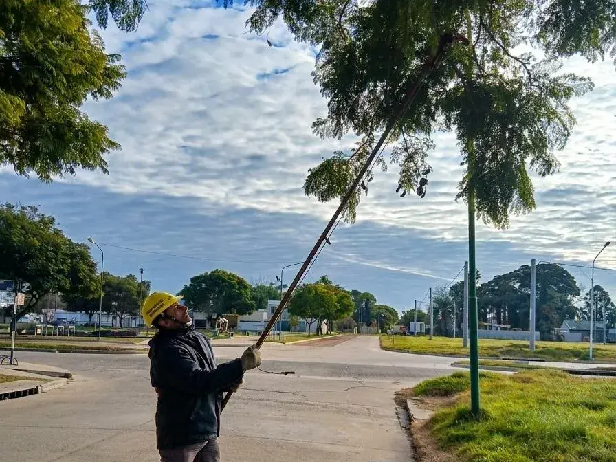 El plan de poda del arbolado público en Rafaela sigue su camino: trabajarán en el barrio Sarmiento