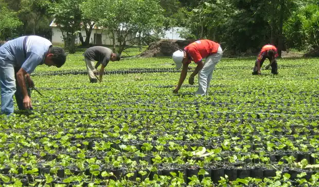 La Bolsa de Cereales lanza un posgrado para la administración