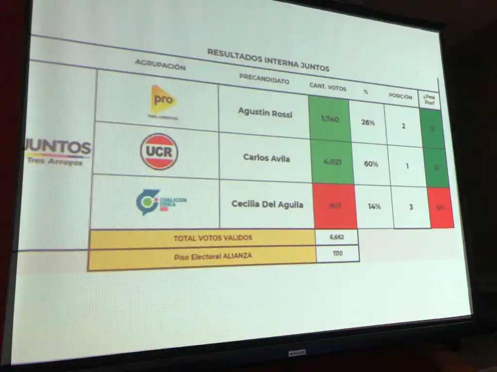 El PRO obtiene suficientes votos para tener candidatos en la lista de Juntos