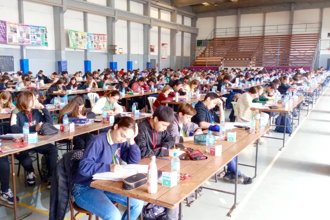 Representantes de 100 localidades bonaerenses participaron en las finales de las Olimpiadas Matemáticas
