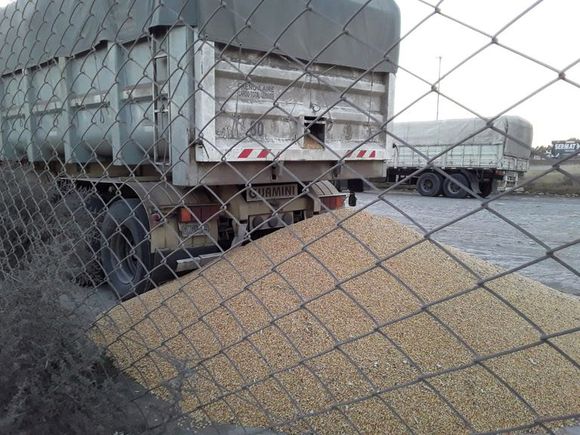 Protesta camionera: liberaron Quequén, sigue bloqueado el puerto de Bahía Blanca
