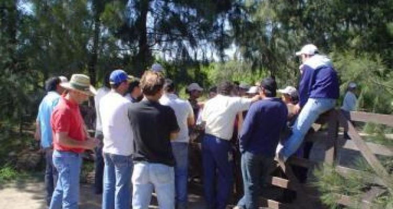Continúa el conflicto entre UATRE y los productores de arándanos